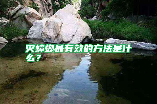 滅蟑螂最有效的方法是什么？