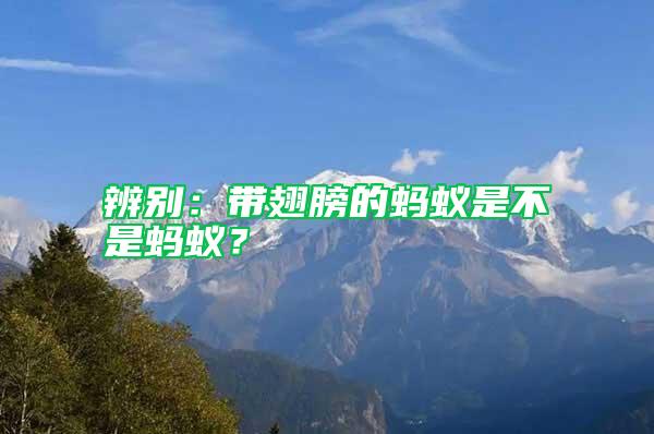 辨別：帶翅膀的螞蟻是不是螞蟻？