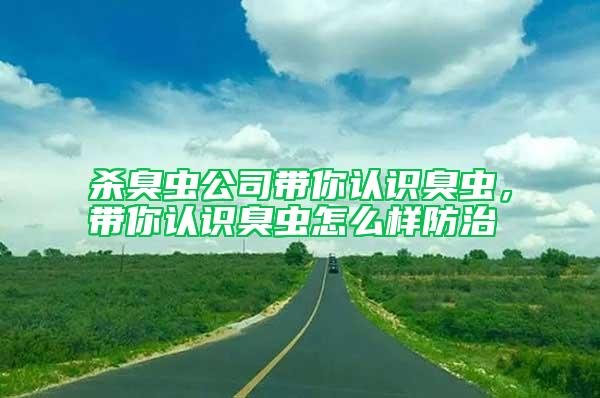 殺臭蟲(chóng)公司帶你認(rèn)識(shí)臭蟲(chóng)，帶你認(rèn)識(shí)臭蟲(chóng)怎么樣防治