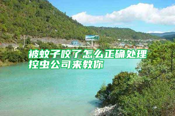 被蚊子咬了怎么正確處理控蟲(chóng)公司來(lái)教你