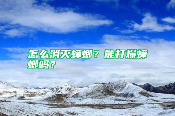 怎么消滅蟑螂？能打爆蟑螂嗎？