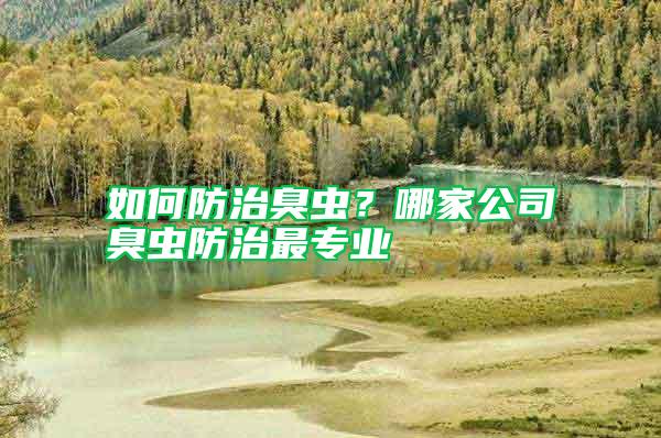 如何防治臭蟲？哪家公司臭蟲防治最專業