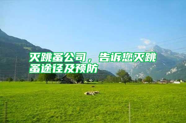 滅跳蚤公司，告訴您滅跳蚤途徑及預(yù)防