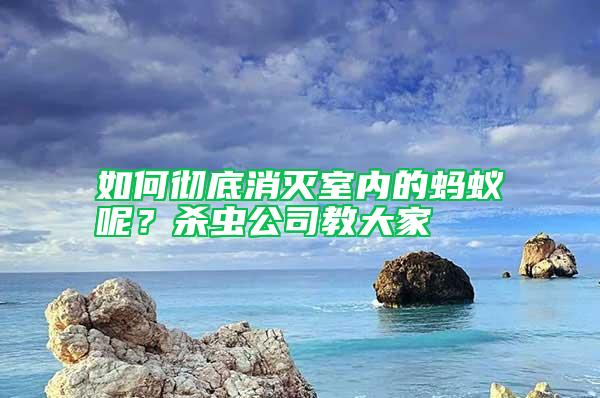 如何徹底消滅室內(nèi)的螞蟻呢？殺蟲(chóng)公司教大家