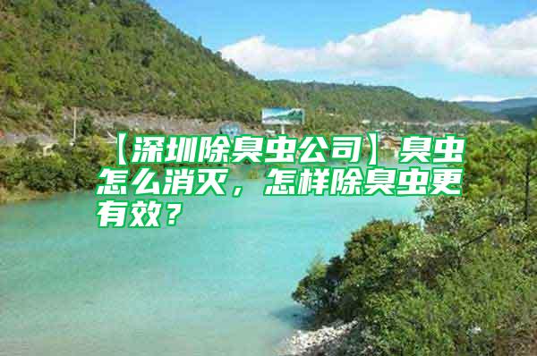 【深圳除臭蟲(chóng)公司】臭蟲(chóng)怎么消滅，怎樣除臭蟲(chóng)更有效？