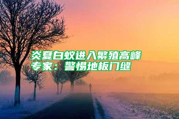 炎夏白蟻進(jìn)入繁殖高峰 專(zhuān)家：警惕地板門(mén)縫