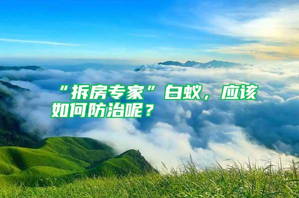 “拆房專家”白蟻，應該如何防治呢？