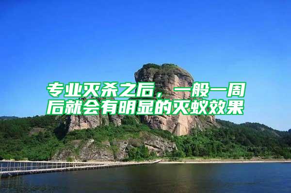專業(yè)滅殺之后，一般一周后就會有明顯的滅蟻效果