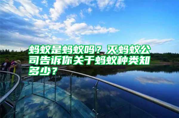 螞蟻是螞蟻嗎？滅螞蟻公司告訴你關于螞蟻種類知多少？