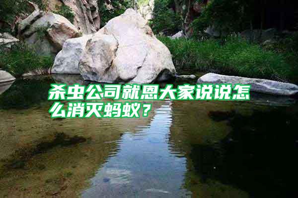 殺蟲公司就恩大家說說怎么消滅螞蟻？