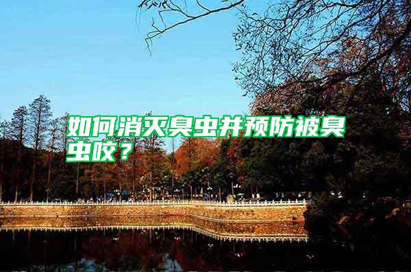 如何消滅臭蟲并預(yù)防被臭蟲咬？