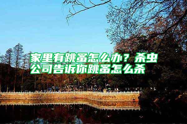 家里有跳蚤怎么辦？殺蟲公司告訴你跳蚤怎么殺