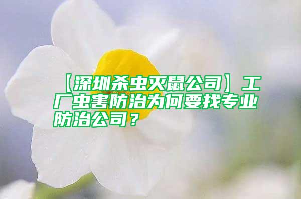 【深圳殺蟲滅鼠公司】工廠蟲害防治為何要找專業(yè)防治公司？