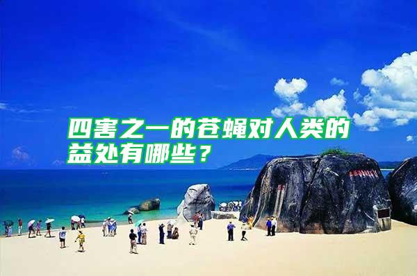 四害之一的蒼蠅對人類的益處有哪些？