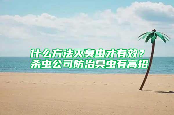 什么方法滅臭蟲才有效？殺蟲公司防治臭蟲有高招