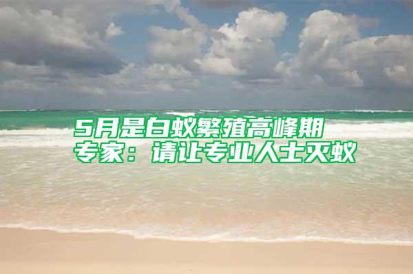 5月是白蟻繁殖高峰期 專家：請讓專業(yè)人士滅蟻