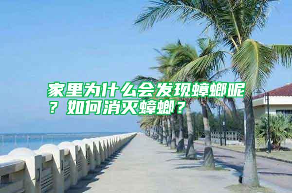 家里為什么會發現蟑螂呢？如何消滅蟑螂？