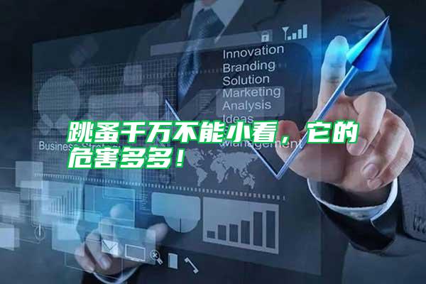 跳蚤千萬不能小看，它的危害多多！