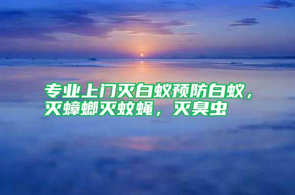 專(zhuān)業(yè)上門(mén)滅白蟻預(yù)防白蟻，滅蟑螂滅蚊蠅，滅臭蟲(chóng)