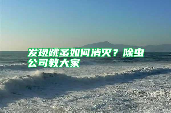 發現跳蚤如何消滅？除蟲公司教大家