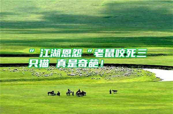 ”江湖恩怨“老鼠咬死三只貓 真是奇葩！