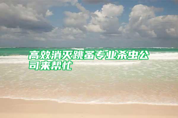 高效消滅跳蚤專業(yè)殺蟲公司來(lái)幫忙