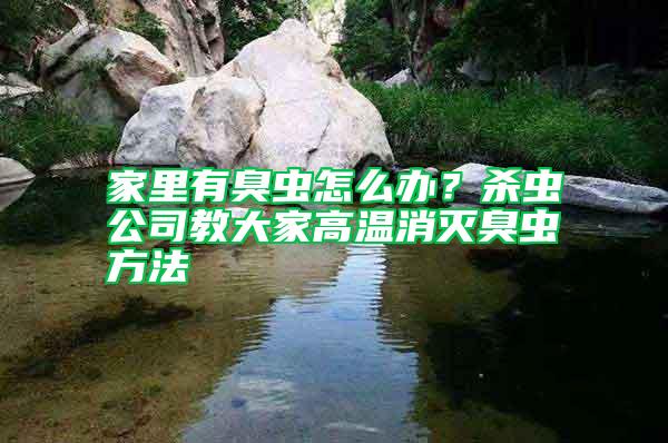 家里有臭蟲怎么辦?殺蟲公司教大家高溫消滅臭蟲方法