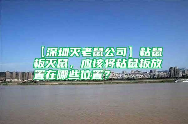 【深圳滅老鼠公司】粘鼠板滅鼠，應該將粘鼠板放置在哪些位置？