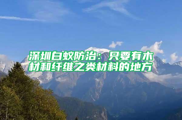 深圳白蟻防治：只要有木材和纖維之類(lèi)材料的地方