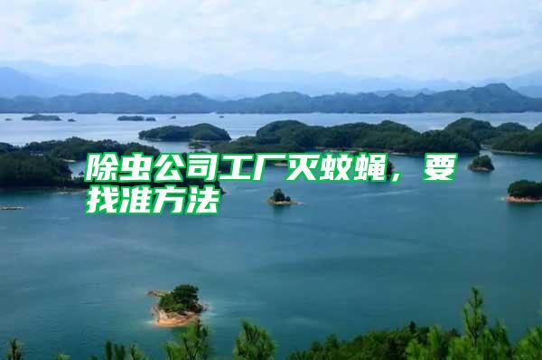 除蟲公司工廠滅蚊蠅，要找準方法