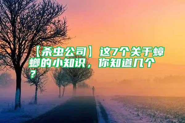 【殺蟲公司】這7個(gè)關(guān)于蟑螂的小知識(shí)，你知道幾個(gè)？