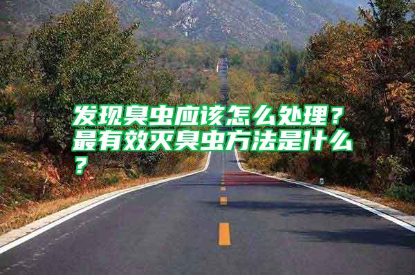 發現臭蟲應該怎么處理？最有效滅臭蟲方法是什么？
