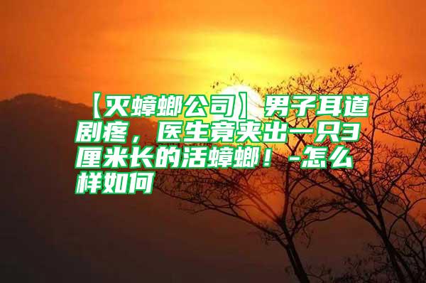 【滅蟑螂公司】男子耳道劇疼，醫生竟夾出一只3厘米長的活蟑螂！-怎么樣如何