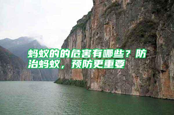 螞蟻的的危害有哪些？防治螞蟻，預(yù)防更重要