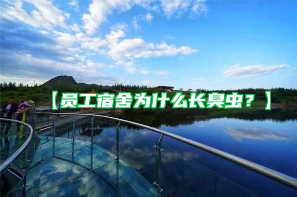 【員工宿舍為什么長臭蟲？】