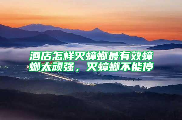 酒店怎樣滅蟑螂最有效蟑螂太頑強，滅蟑螂不能停