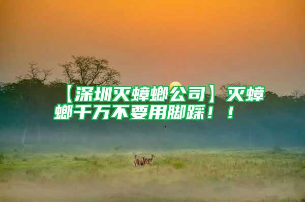 【深圳滅蟑螂公司】滅蟑螂千萬不要用腳踩??！