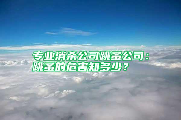 專業消殺公司跳蚤公司：跳蚤的危害知多少？