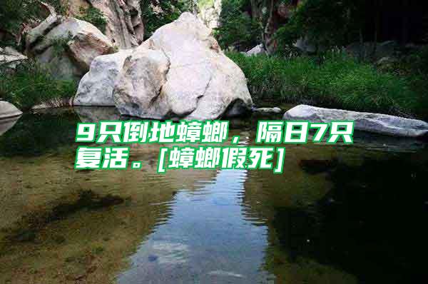 9只倒地蟑螂，隔日7只復(fù)活。[蟑螂假死]