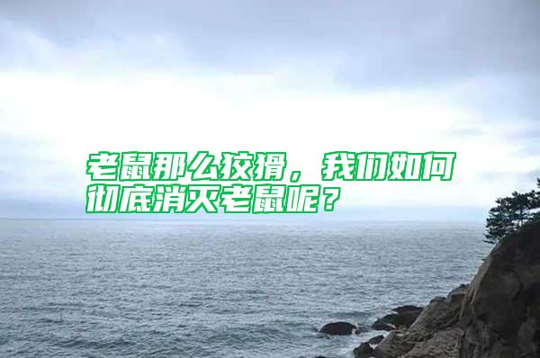 老鼠那么狡猾，我們如何徹底消滅老鼠呢？