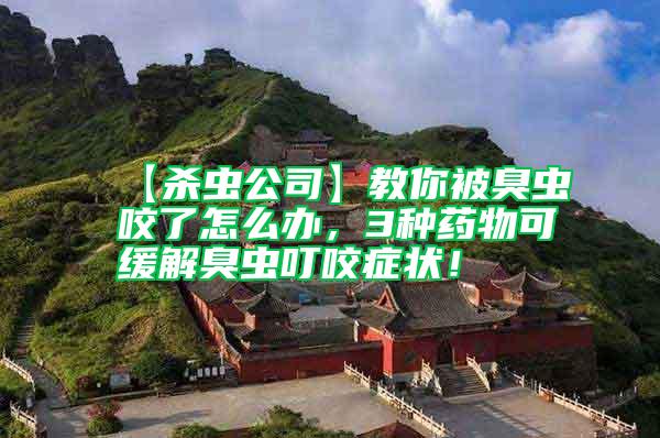 【殺蟲公司】教你被臭蟲咬了怎么辦，3種藥物可緩解臭蟲叮咬癥狀！
