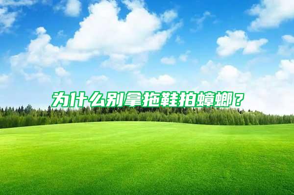 為什么別拿拖鞋拍蟑螂？