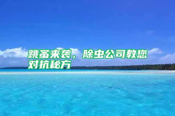 跳蚤來襲，除蟲公司教您對抗秘方
