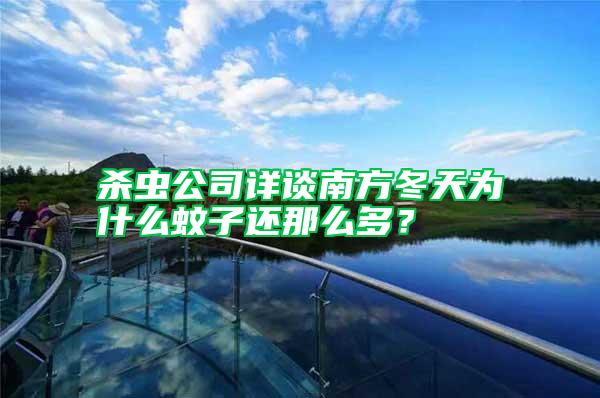 殺蟲公司詳談南方冬天為什么蚊子還那么多？