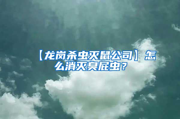 【龍崗殺蟲滅鼠公司】怎么消滅臭屁蟲？