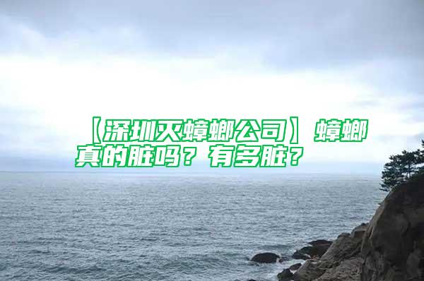 【深圳滅蟑螂公司】蟑螂真的臟嗎？有多臟？