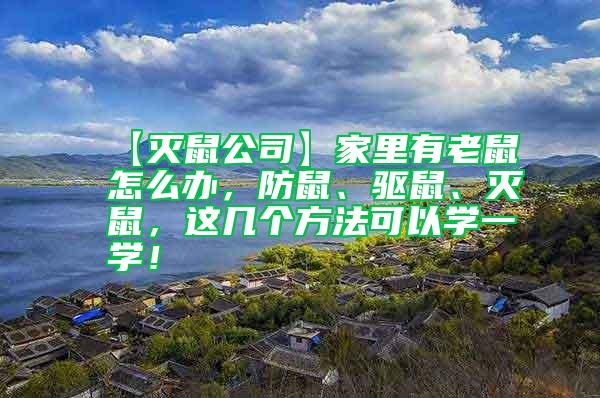 【滅鼠公司】家里有老鼠怎么辦，防鼠、驅鼠、滅鼠，這幾個方法可以學一學！