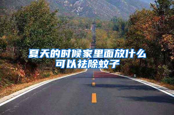 夏天的時(shí)候家里面放什么可以祛除蚊子