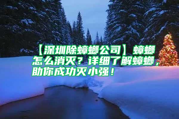 【深圳除蟑螂公司】蟑螂怎么消滅？詳細了解蟑螂，助你成功滅小強！