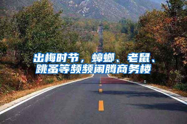 出梅時(shí)節(jié)，蟑螂、老鼠、跳蚤等頻頻鬧騰商務(wù)樓